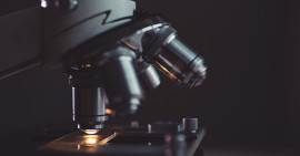 Cellulit vagy cellulitisz ?